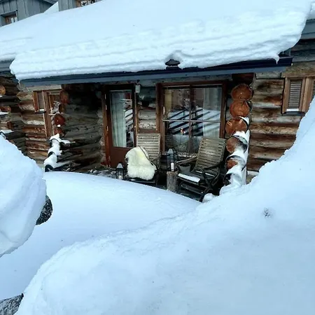 Nilimukka Log Near Center Levi