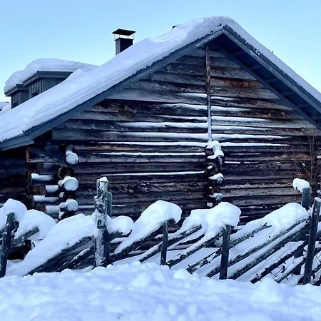 Nilimukka Log Near Center