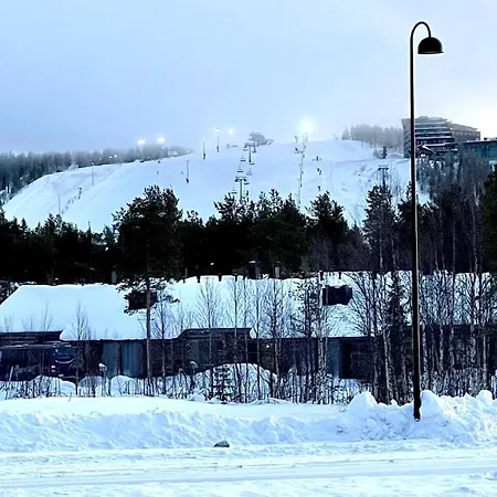 Nilimukka Log Near Center Levi