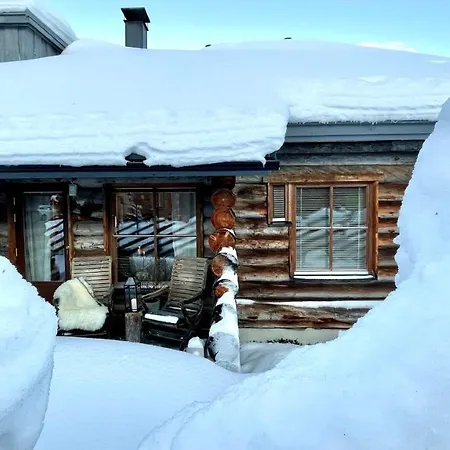 Nilimukka Log Near Center