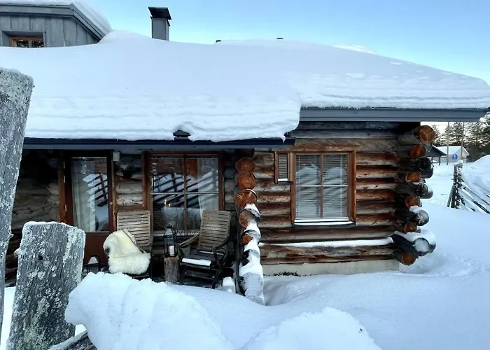 Nilimukka Log Near Center 度假居 列维