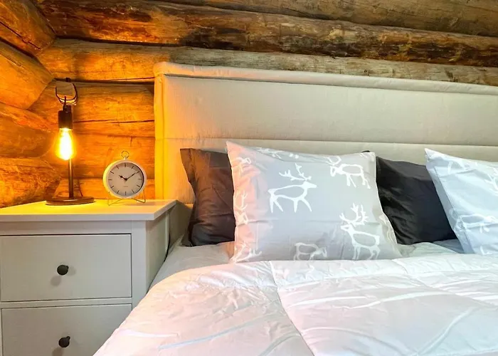 Nilimukka Log Near Center 度假居 列维