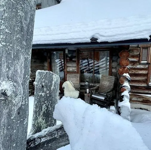 Nilimukka Log Near Center