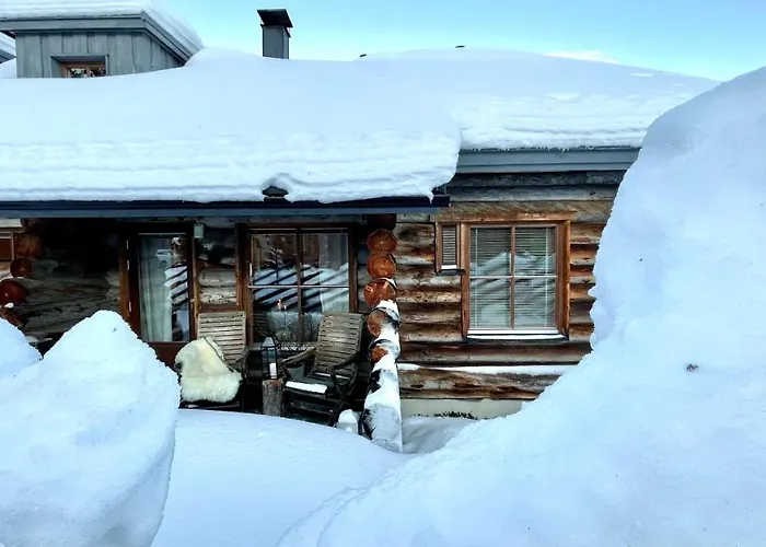 Nilimukka Log Near Center