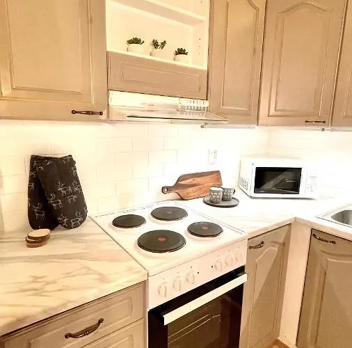 Nilimukka Log Near Center 度假居 列维